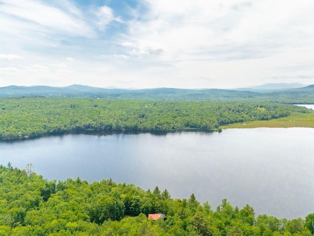 22 Woodpecker Ln, Embden, ME 04958 - water view with a forest and a mountainous background
