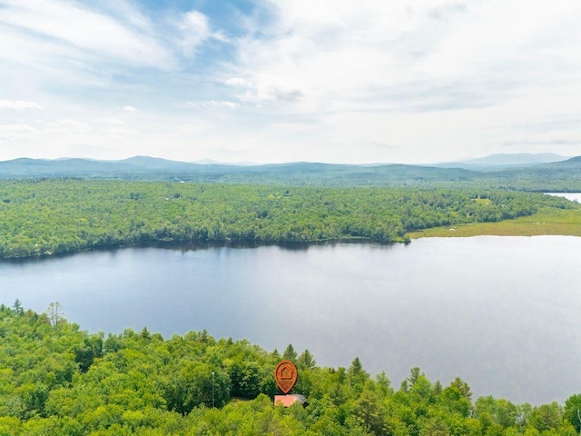 22 Woodpecker Ln, Embden, ME 04958 - water view featuring a forest and a mountainous background