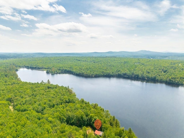 22 Woodpecker Ln, Embden, ME 04958 - drone / aerial view of a heavily wooded area and a water and mountain view