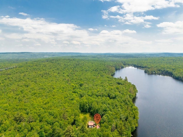 22 Woodpecker Ln, Embden, ME 04958 - drone / aerial view of a forest and a nearby body of water