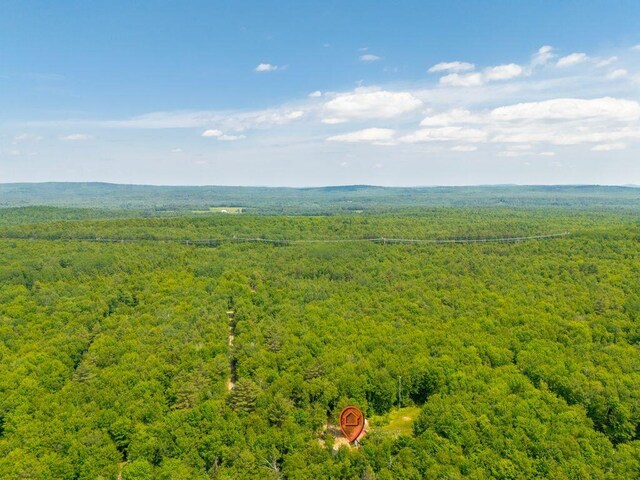 22 Woodpecker Ln, Embden, ME 04958 - bird's eye view of a forest