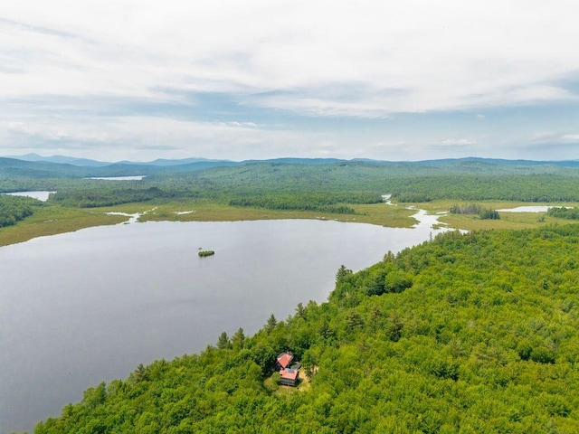 22 Woodpecker Ln, Embden, ME 04958 - drone / aerial view of a forest and a water and mountain view