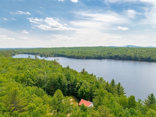 22 Woodpecker Ln, Embden, ME 04958 - water view featuring a heavily wooded area