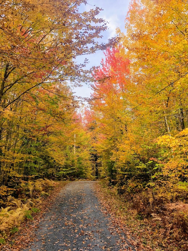 22 Woodpecker Ln, Embden, ME 04958 - view of street with a view of trees