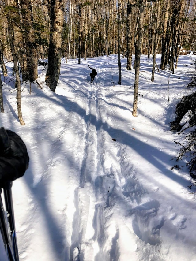 22 Woodpecker Ln, Embden, ME 04958 - view of snowy yard