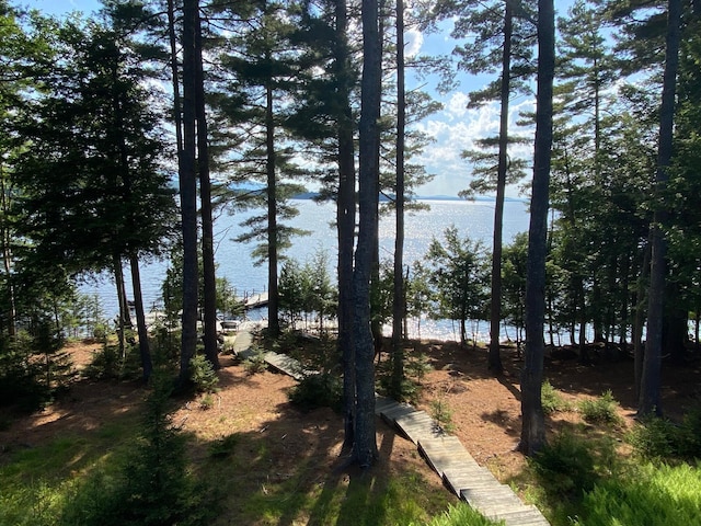 378 Black Point Rd, Beaver Cove, ME 04441 - view of yard with a water view