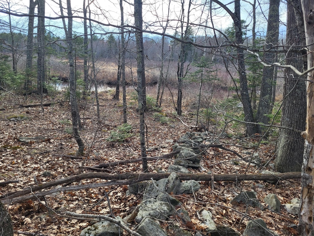 TBD Frye Rd, Somerville, ME 04348