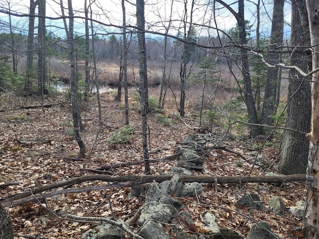 TBD Frye Rd, Somerville, ME 04348