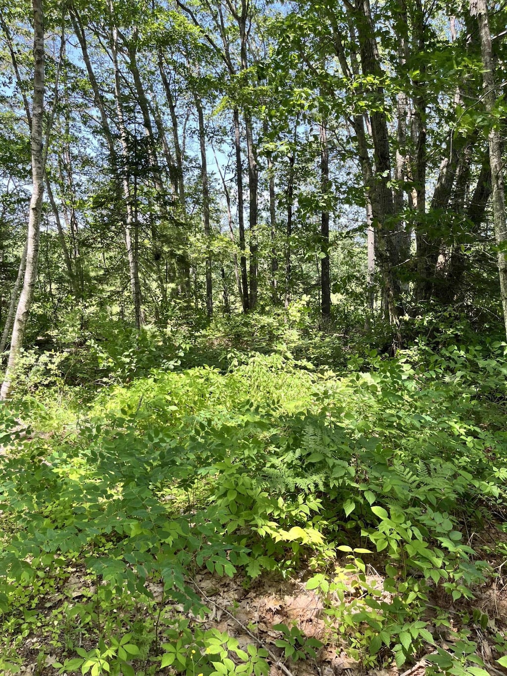 TBD Frye Rd, Somerville, ME 04348