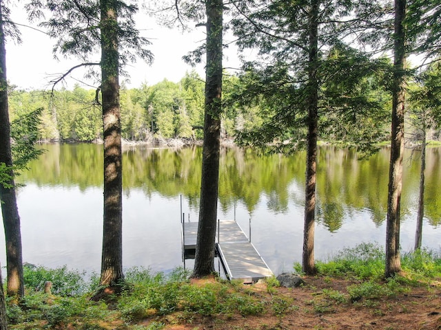 26 Dunphey Rd, Sebec, ME 04481 - photo 6