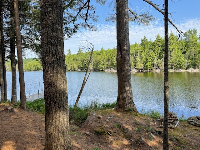26 Dunphey Rd, Sebec, ME 04481 - photo 9