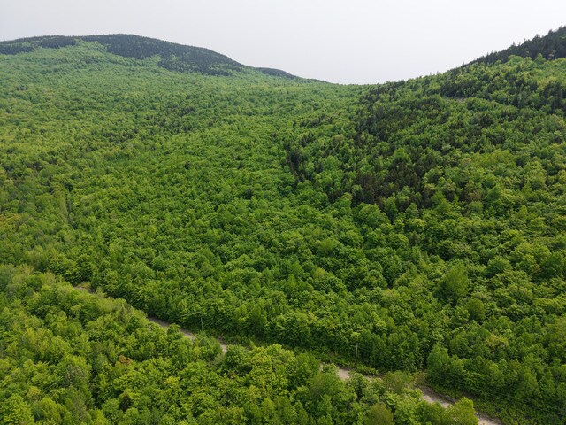 M12L252-3 Ira Mountain Rd, Kingfield, ME 04947