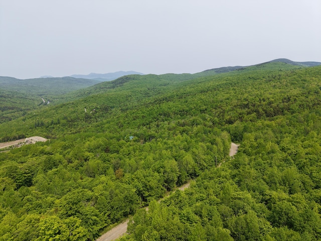 M12L252-3 Ira Mountain Rd, Kingfield, ME 04947