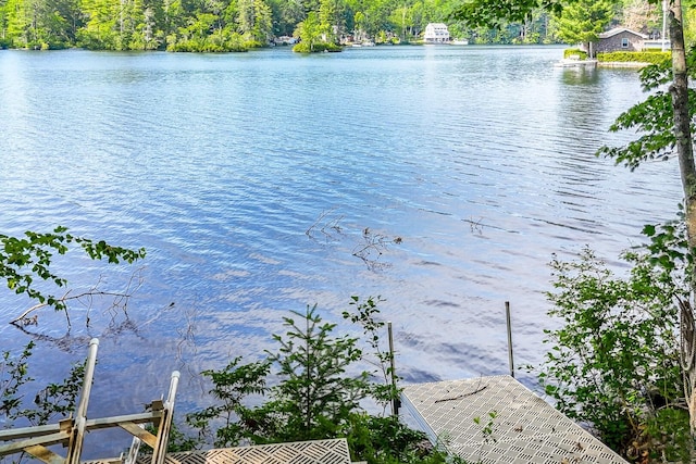 271 W Shore Rd, Waterboro, ME 04030 - photo 11