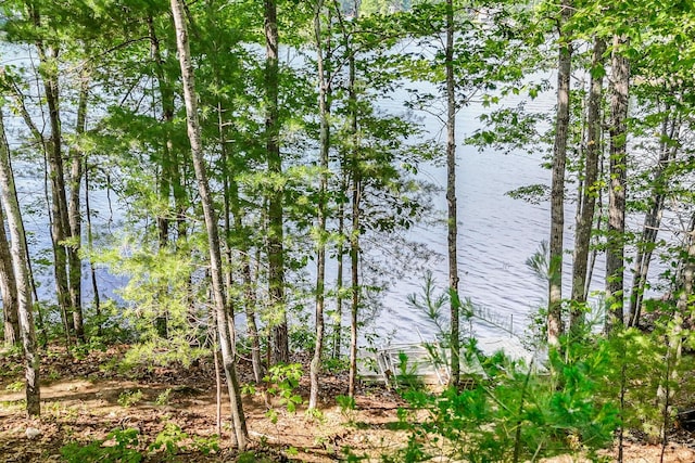 271 W Shore Rd, Waterboro, ME 04030 - photo 12