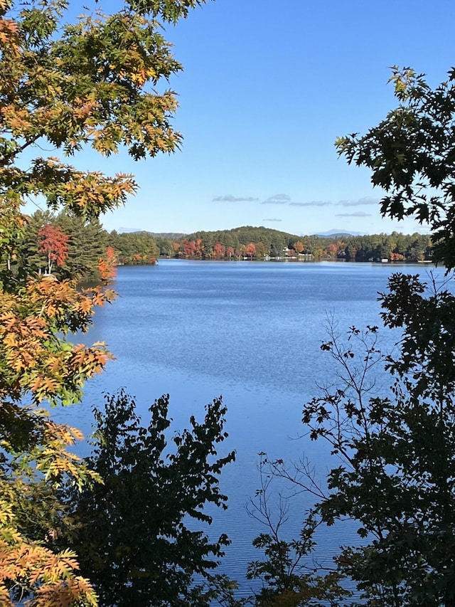 271 W Shore Rd, Waterboro, ME 04030 - photo 47