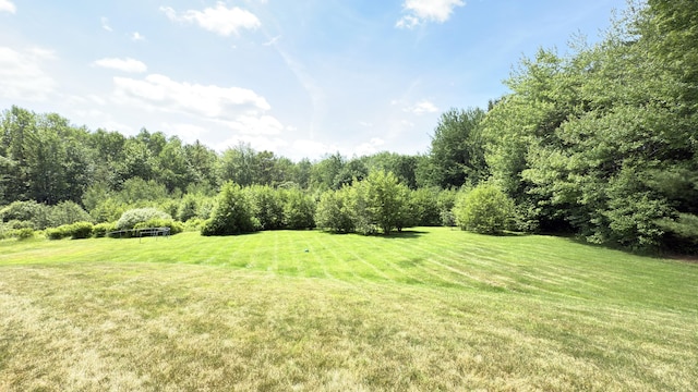 8 Clark Cir, Hampden, ME 04444 - view of grassy yard