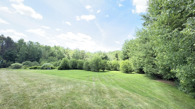 8 Clark Cir, Hampden, ME 04444 - view of green lawn