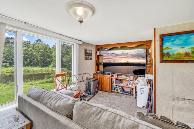 350 Cushing Rd, Cushing, ME 04563 - living room with carpet