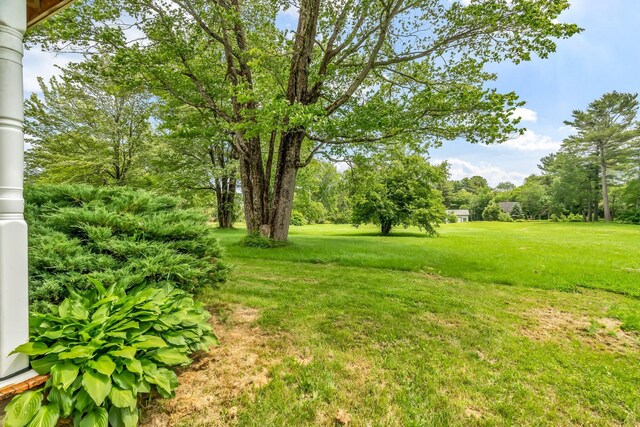 350 Cushing Rd, Cushing, ME 04563 - view of green lawn