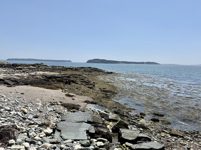 42 Boatyard Ln, Machiasport, ME 04655 - photo 87
