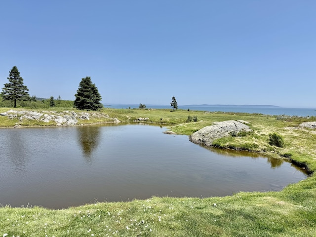 42 Boatyard Ln, Machiasport, ME 04655 - photo 97