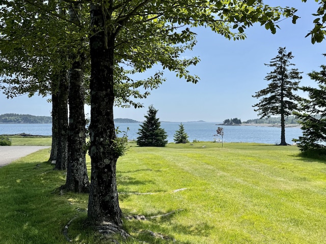 42 Boatyard Ln, Machiasport, ME 04655 - photo 9