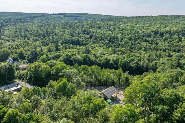 403 Morse Rd, Montville, ME 04941 - photo 22