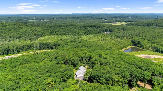71 Tavern Hl, Windham, ME 04062 - photo 56