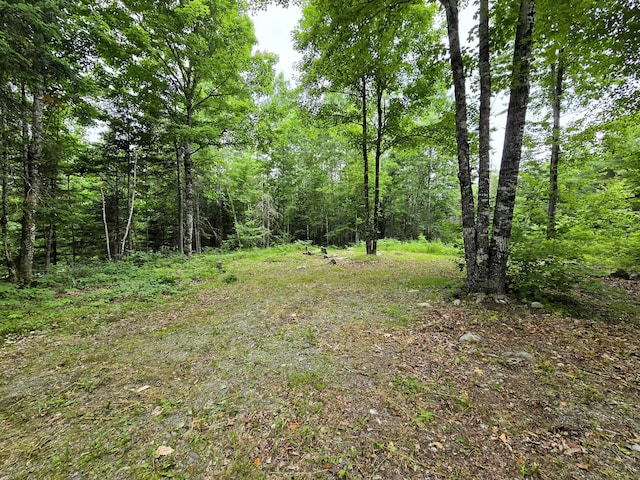 20 Young Ln, Burnham, ME 04922 - photo 4