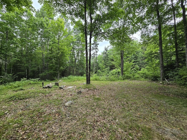 20 Young Ln, Burnham, ME 04922 - photo 5