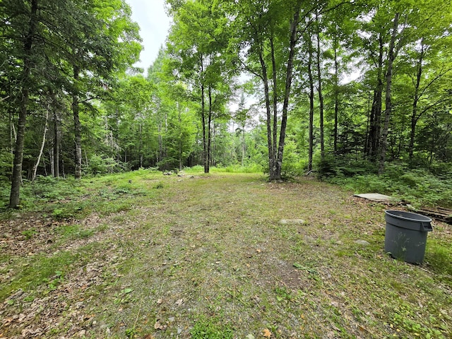 20 Young Ln, Burnham, ME 04922 - photo 3