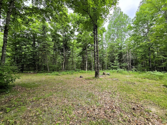 20 Young Ln, Burnham, ME 04922 - photo 6