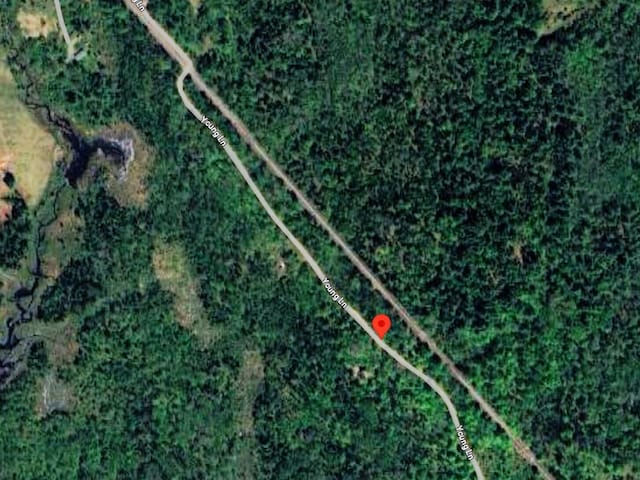 20 Young Ln, Burnham, ME 04922 - photo 7