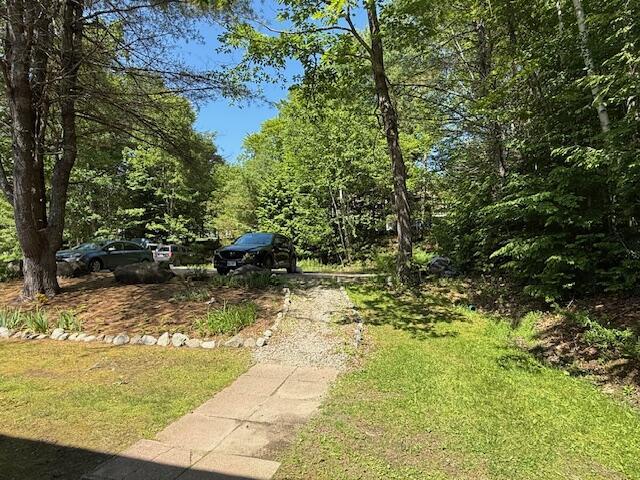 12 Doe Ct Unit 12, Naples, ME 04055 - view of yard with driveway and a view of trees