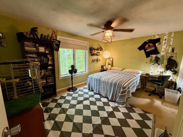 12 Doe Ct Unit 12, Naples, ME 04055 - bedroom with a textured ceiling and ceiling fan