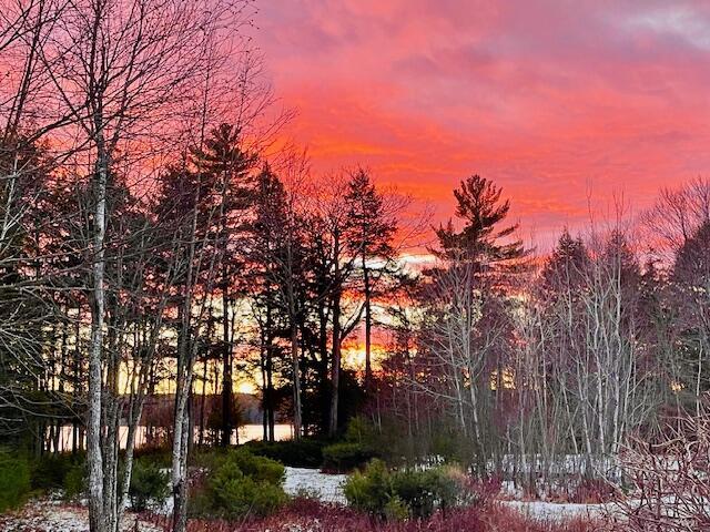 12 Doe Ct Unit 12, Naples, ME 04055 - view of nature at dusk
