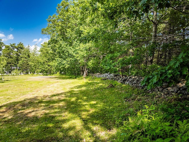 270 Park St, Rockport, ME 04856 - view of green lawn