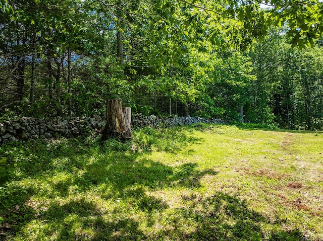 270 Park St, Rockport, ME 04856 - view of green lawn with a forest view