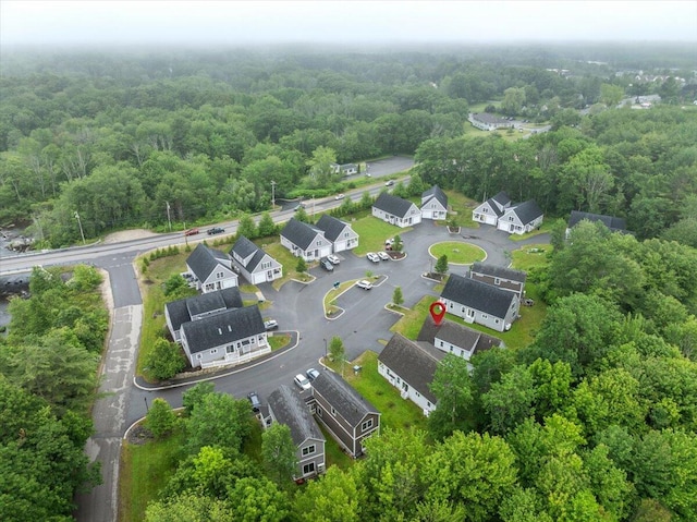 7 Coastal Woods Dr Unit 102, Kennebunk, ME 04043 - drone / aerial view of a forest
