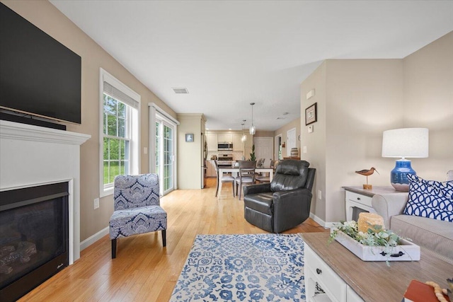 7 Coastal Woods Dr Unit 102, Kennebunk, ME 04043 - living room with light wood finished floors and a fireplace