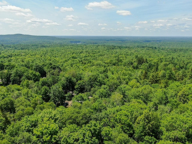 144 Main Rd, Burlington, ME 04417 - drone / aerial view of a heavily wooded area