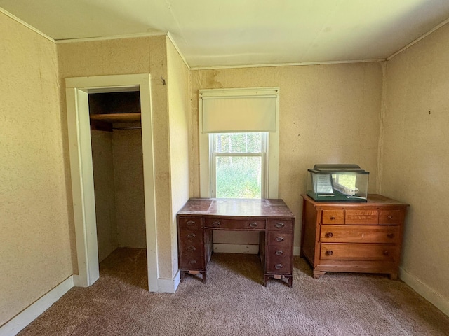 144 Main Rd, Burlington, ME 04417 - carpeted office space featuring crown molding and baseboards
