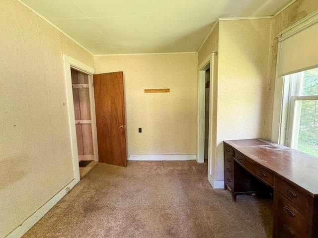 144 Main Rd, Burlington, ME 04417 - unfurnished office with carpet flooring and ornamental molding