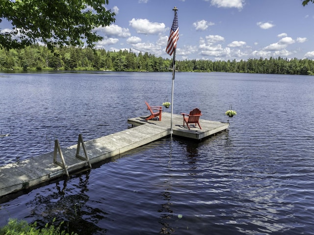 13 Foss Ln, Marshfield, ME 04654 - photo 13