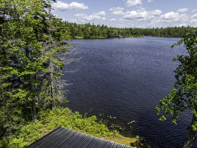 13 Foss Ln, Marshfield, ME 04654 - photo 30