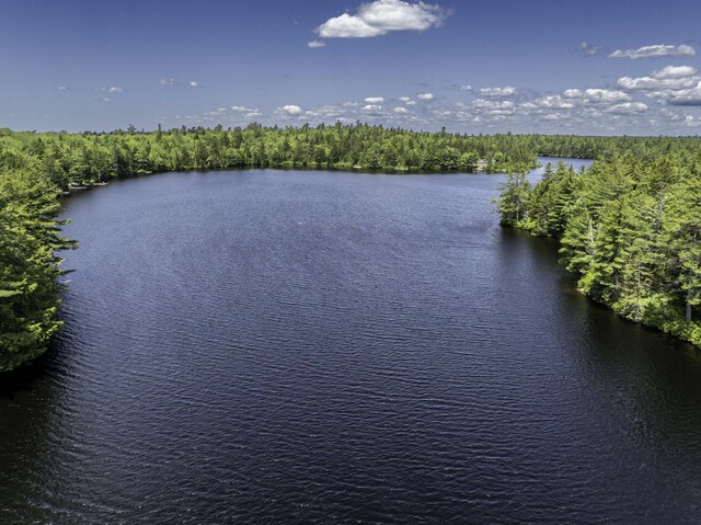 13 Foss Ln, Marshfield, ME 04654 - photo 36