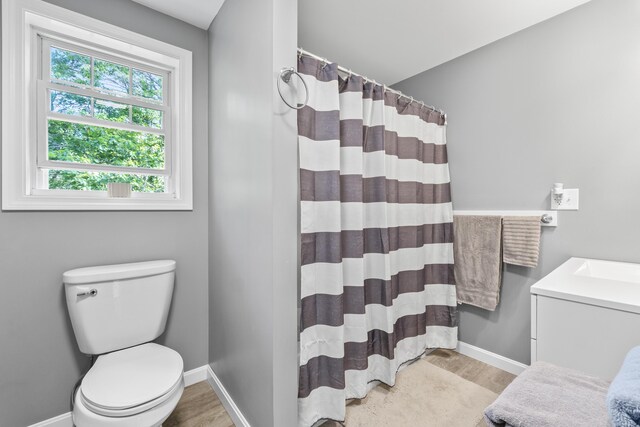 152 Quarry Rd, Limerick, ME 04048 - full bath featuring wood finished floors, vanity, and a shower with shower curtain