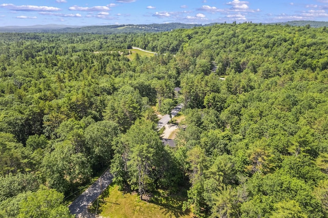 152 Quarry Rd, Limerick, ME 04048 - aerial view of a heavily wooded area