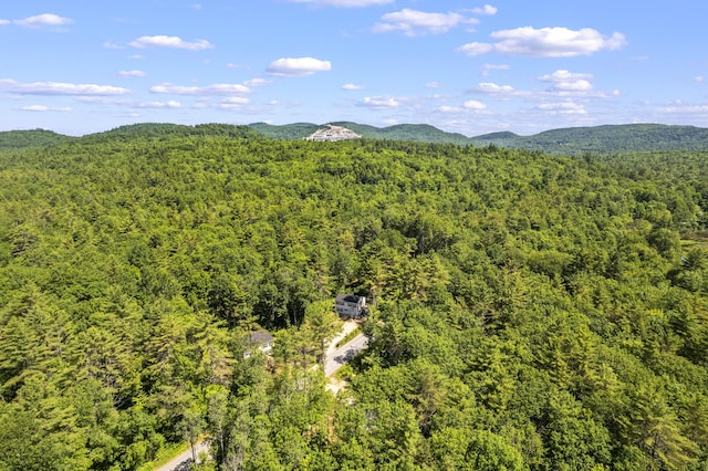 152 Quarry Rd, Limerick, ME 04048 - bird's eye view of a heavily wooded area and a mountain backdrop